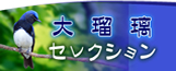 大瑠璃セレクション